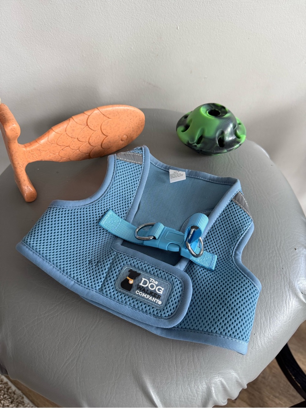 New Dog bundle